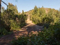 Griffith Park - Cedar Grove-11