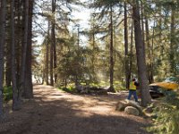 Griffith Park - Cedar Grove-13