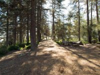 Griffith Park - Cedar Grove-16