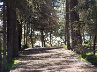 Griffith Park - Cedar Grove-17