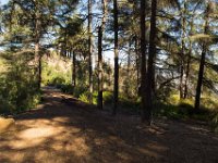 Griffith Park - Cedar Grove-19