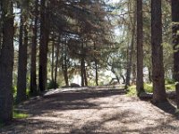 Griffith Park - Cedar Grove-21