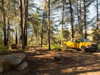 Griffith Park - Cedar Grove-22