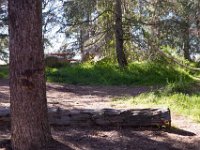 Griffith Park - Cedar Grove-25