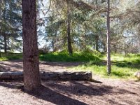 Griffith Park - Cedar Grove-26