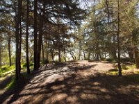 Griffith Park - Cedar Grove-28