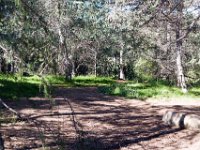 Griffith Park - Cedar Grove-30