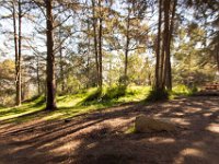 Griffith Park - Cedar Grove-32