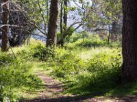 Griffith Park - Cedar Grove-34