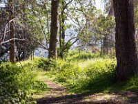 Griffith Park - Cedar Grove-35