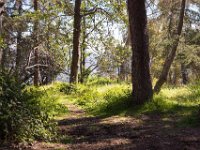 Griffith Park - Cedar Grove-36