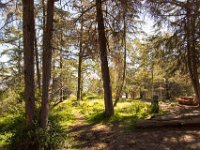 Griffith Park - Cedar Grove-37