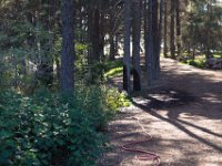 Griffith Park - Cedar Grove-4