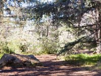 Griffith Park - Cedar Grove-40