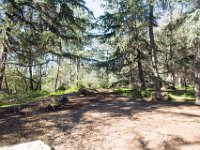 Griffith Park - Cedar Grove-41