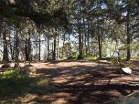 Griffith Park - Cedar Grove-42