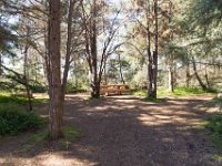 Griffith Park - Cedar Grove-43