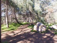 Griffith Park - Cedar Grove-44