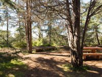 Griffith Park - Cedar Grove-45