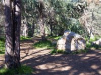 Griffith Park - Cedar Grove-47