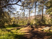 Griffith Park - Cedar Grove-48