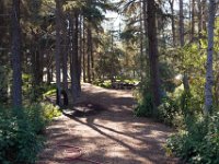 Griffith Park - Cedar Grove-5