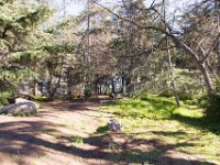 Griffith Park - Cedar Grove-50