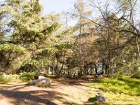 Griffith Park - Cedar Grove-51