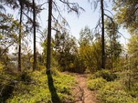 Griffith Park - Cedar Grove-52