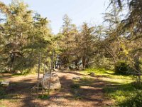 Griffith Park - Cedar Grove-53