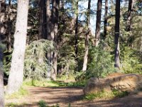 Griffith Park - Cedar Grove-55