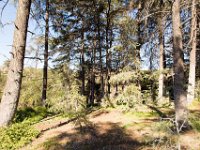 Griffith Park - Cedar Grove-56