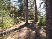 Griffith Park - Cedar Grove-58