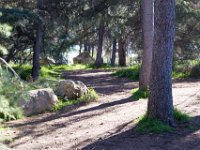 Griffith Park - Cedar Grove-59