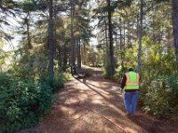 Griffith Park - Cedar Grove-6