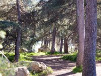 Griffith Park - Cedar Grove-60