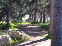 Griffith Park - Cedar Grove-61