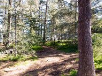 Griffith Park - Cedar Grove-62