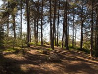 Griffith Park - Cedar Grove-63