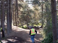 Griffith Park - Cedar Grove-8