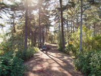 Griffith Park - Cedar Grove-9