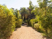 Griffith Park - Cedar Grove