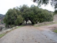 Malibu Creek State Park-15