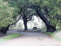Malibu Creek State Park-16