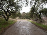 Malibu Creek State Park-19