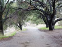 Malibu Creek State Park-21