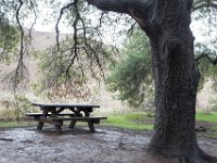 Malibu Creek State Park-23