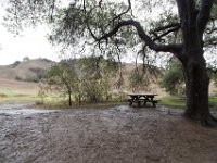 Malibu Creek State Park-24