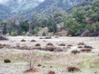 Malibu Creek State Park-39