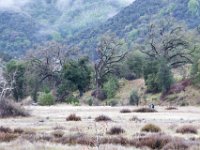 Malibu Creek State Park-40